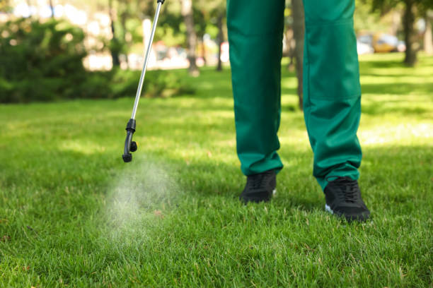 Best Pest Removal Services  in Orange, TX