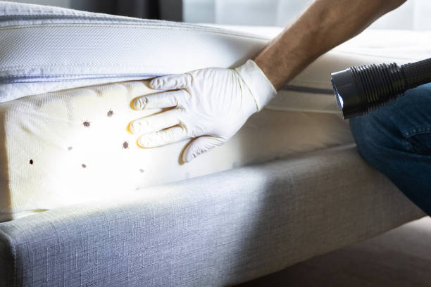 Best Pest Control Cost  in Orange, TX