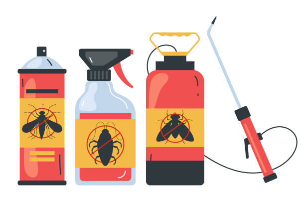 Trusted Orange, TX Pest Control Experts