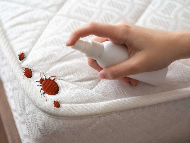 Best Mosquito Control Services  in Orange, TX